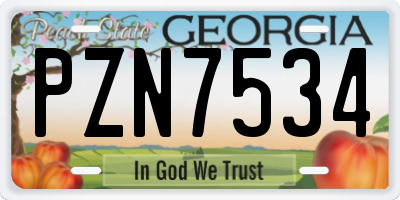 GA license plate PZN7534