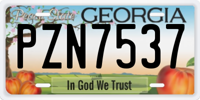 GA license plate PZN7537