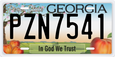 GA license plate PZN7541