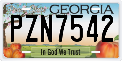 GA license plate PZN7542