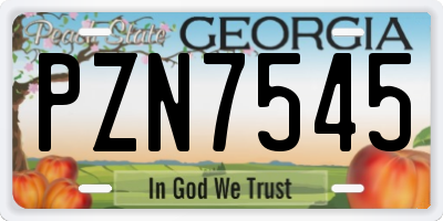 GA license plate PZN7545
