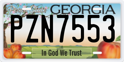 GA license plate PZN7553
