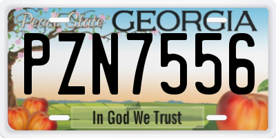 GA license plate PZN7556