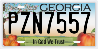GA license plate PZN7557