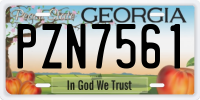 GA license plate PZN7561