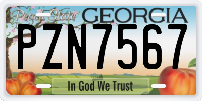 GA license plate PZN7567