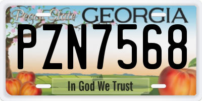 GA license plate PZN7568