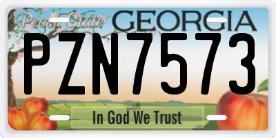 GA license plate PZN7573