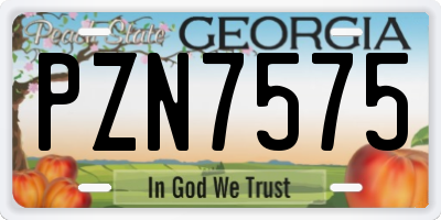 GA license plate PZN7575