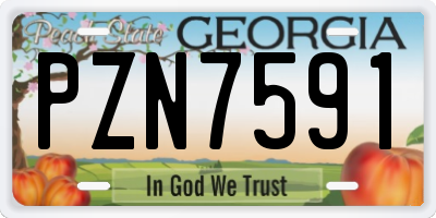 GA license plate PZN7591