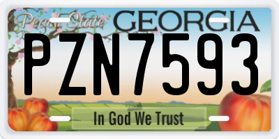 GA license plate PZN7593