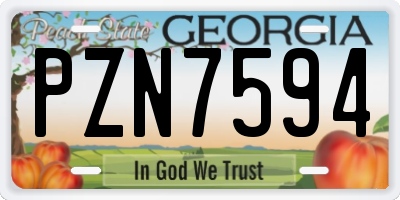 GA license plate PZN7594