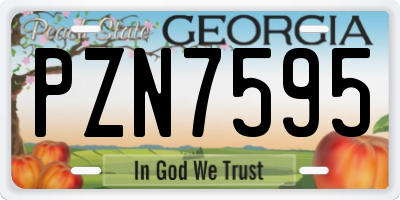 GA license plate PZN7595