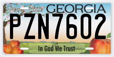 GA license plate PZN7602