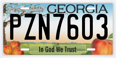 GA license plate PZN7603