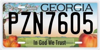 GA license plate PZN7605