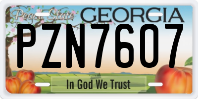 GA license plate PZN7607