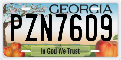 GA license plate PZN7609