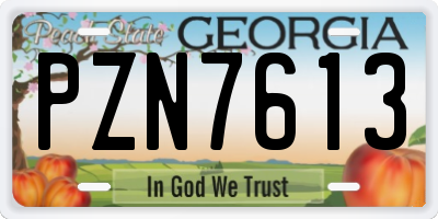 GA license plate PZN7613