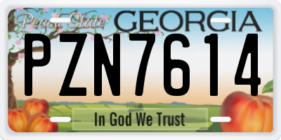 GA license plate PZN7614