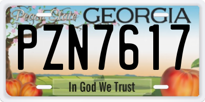 GA license plate PZN7617