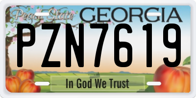 GA license plate PZN7619