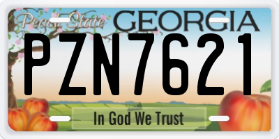 GA license plate PZN7621