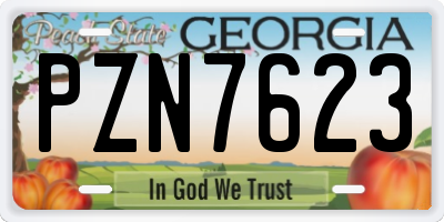 GA license plate PZN7623