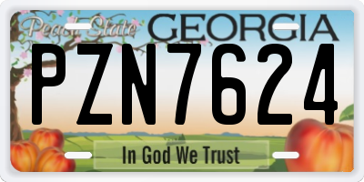 GA license plate PZN7624