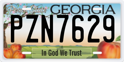 GA license plate PZN7629