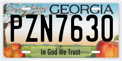 GA license plate PZN7630