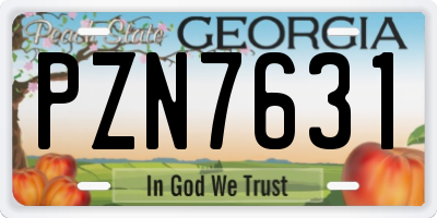 GA license plate PZN7631