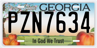 GA license plate PZN7634