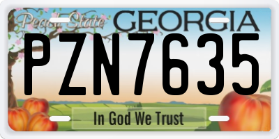 GA license plate PZN7635