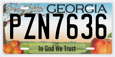 GA license plate PZN7636