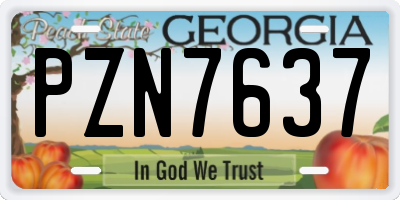 GA license plate PZN7637