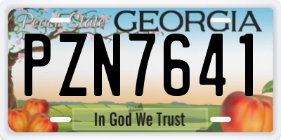 GA license plate PZN7641