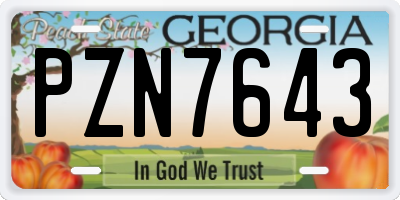 GA license plate PZN7643