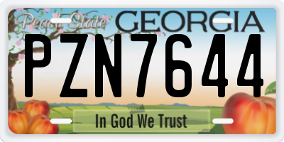 GA license plate PZN7644