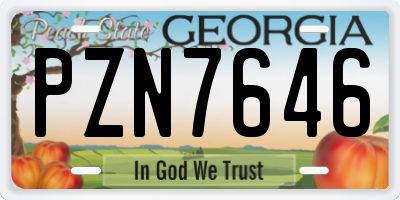 GA license plate PZN7646