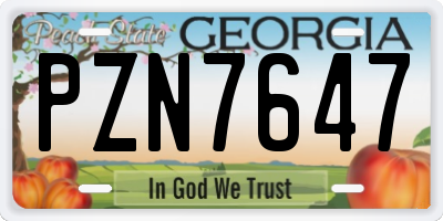 GA license plate PZN7647