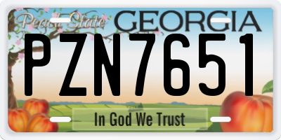 GA license plate PZN7651