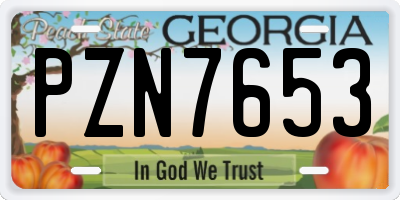 GA license plate PZN7653