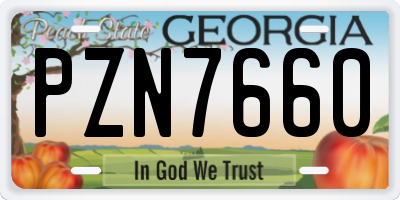 GA license plate PZN7660