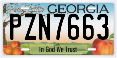 GA license plate PZN7663