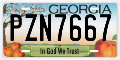 GA license plate PZN7667