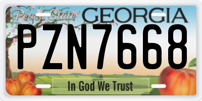 GA license plate PZN7668