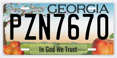 GA license plate PZN7670