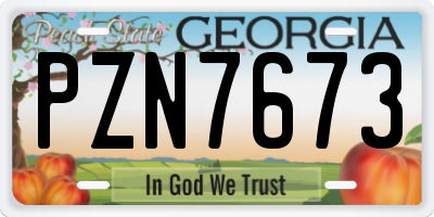 GA license plate PZN7673