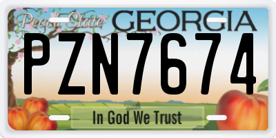 GA license plate PZN7674